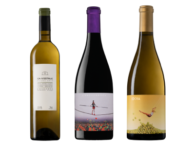 botellas-canestruc