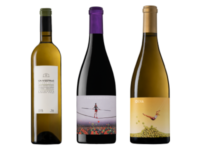 botellas-canestruc