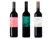 botellas-lalocomotora