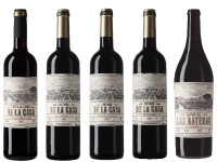 botellas-vinaalladodecasa