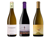 miniatura_ampolles_canestruc