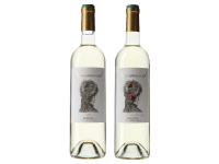 botellas-fenomenal